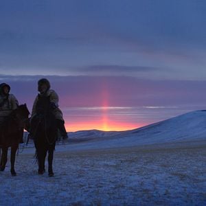 Foto El último lobo (Wolf Totem)