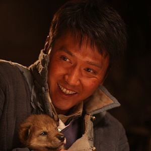 Foto El último lobo (Wolf Totem)