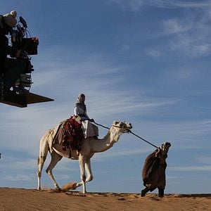 Foto La reina del desierto