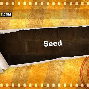 Foto Seed