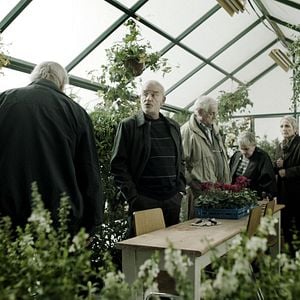 Foto La fiesta de despedida