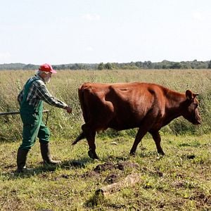 Foto Vendrán tiempos mejores