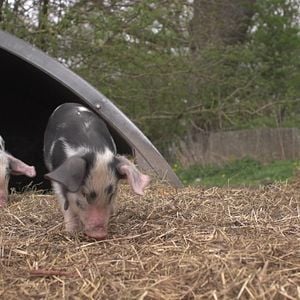 Foto Vendrán tiempos mejores