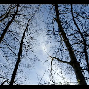 Foto Cartas a María