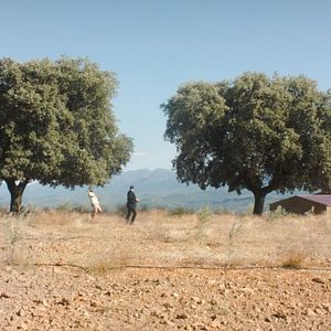 Foto Der Geldkomplex (El complejo de dinero)