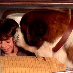 Foto Beethoven: La gran oportunidad