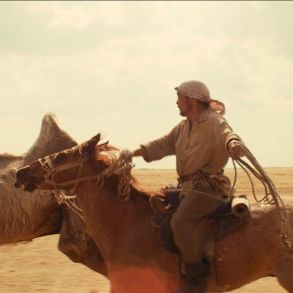 Foto Celestial Camel