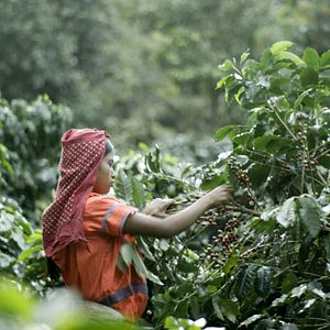 Foto Una pequeña sección del mundo