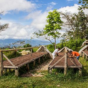 Foto Una pequeña sección del mundo