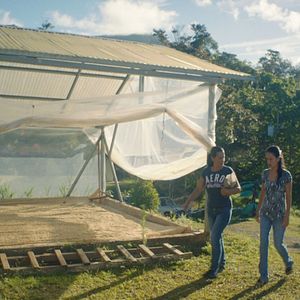 Foto Una pequeña sección del mundo