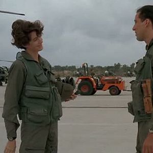 Foto Pájaros de fuego