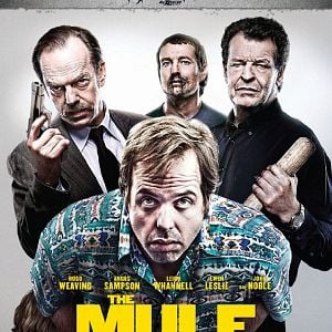 Foto The Mule
