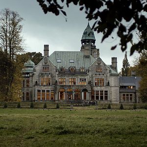 Foto Profanación: Los casos del departamento Q