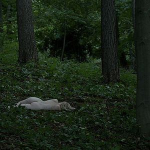 Foto Profanación: Los casos del departamento Q