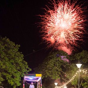 Foto Out Of The Dark