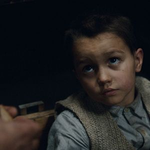 Foto Desnudo entre lobos