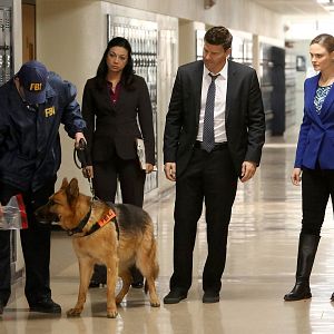 Foto Emily Deschanel