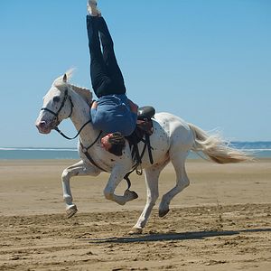 Foto Albert Dupontel