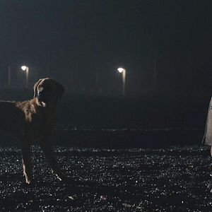Foto Desnudo entre lobos