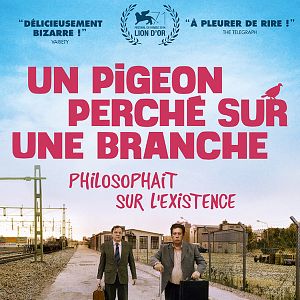 Foto Una paloma se posó en una rama a reflexionar sobre la existencia