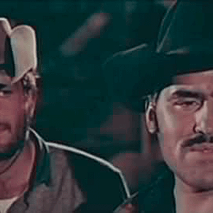 Foto Tierra de fuego