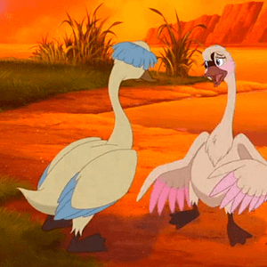 Foto El cisne mudito