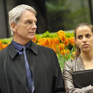Foto Mark Harmon