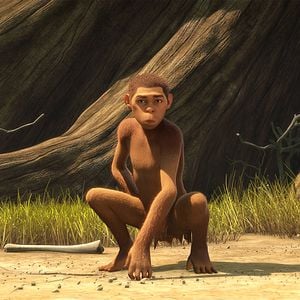 Foto El reino de los monos