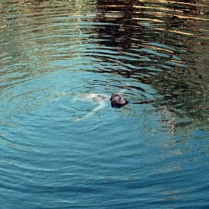 Foto Andrés Gertrudix