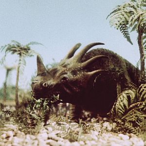 Foto Aventures dans la préhistoire