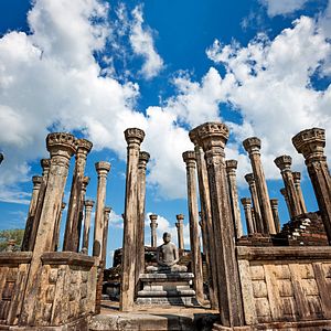 Foto El reino de los monos