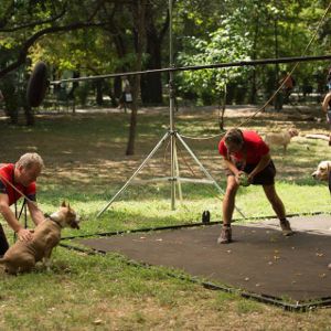 Foto One Floor Below