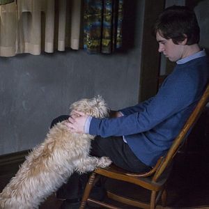 Foto Freddie Highmore