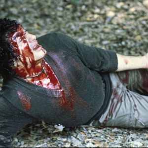 Foto La cosa del pantano