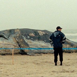 Foto Las mil y una noches: Vol.1, El inquieto