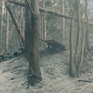 Foto Scarlett Johansson