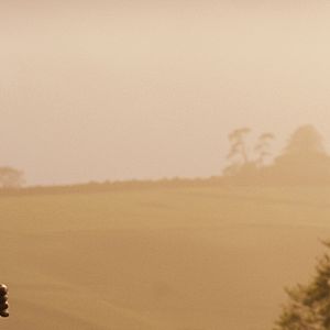 Foto Matthias Schoenaerts