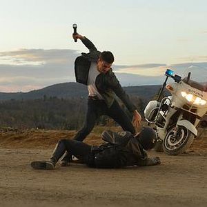 Foto Perros rabiosos