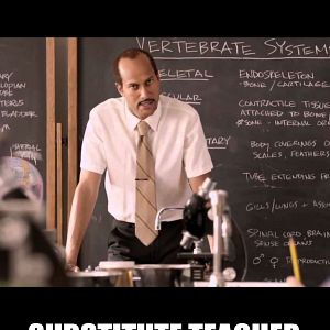 Foto Substitute Teacher