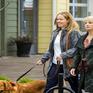 Foto Mis novios, sus perros y yo