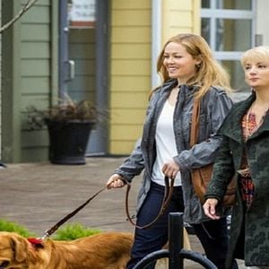 Foto Mis novios, sus perros y yo