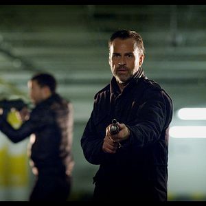 Foto Perros rabiosos