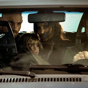 Foto Perros rabiosos