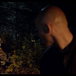 Foto Perros rabiosos