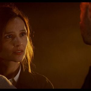 Foto Perros rabiosos