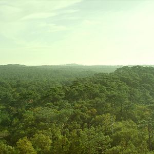 Foto Les Combattants