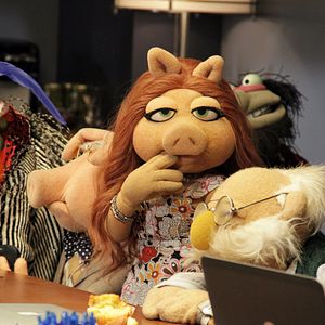 Foto The Muppets