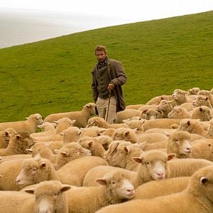 Foto Matthias Schoenaerts