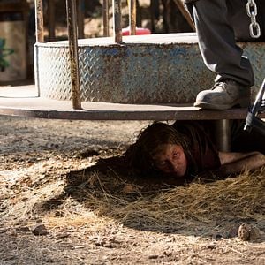 Foto Supervivencia (Preservation)