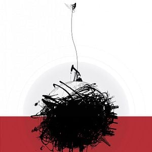 Foto Bicicletas vs coches